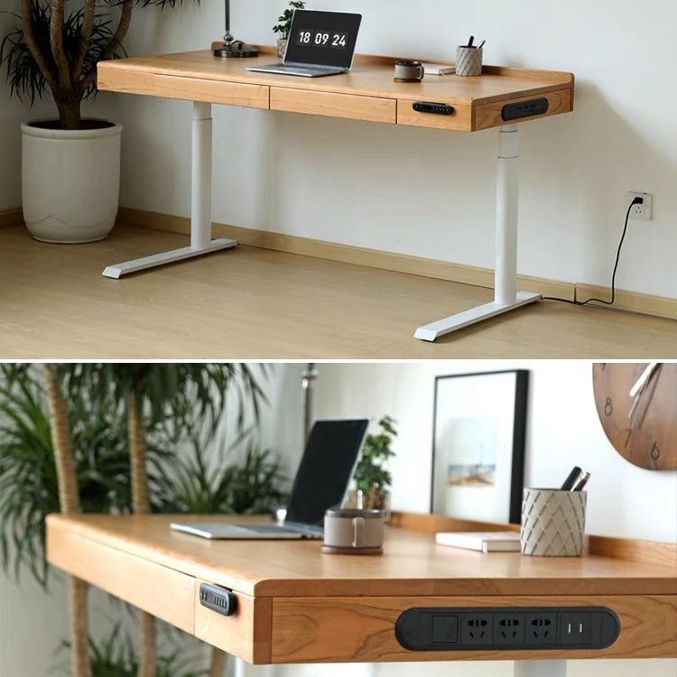 Biorg Wooden Electric Standing Desk