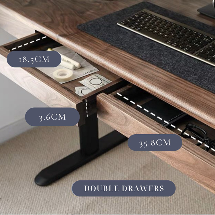 Biorg Wooden Electric Standing Desk